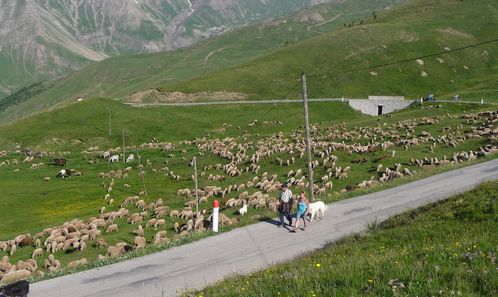 2011-06-29-Col de la Sestrière-3