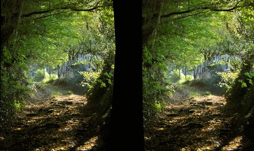 109_XE_Sentier.jpg