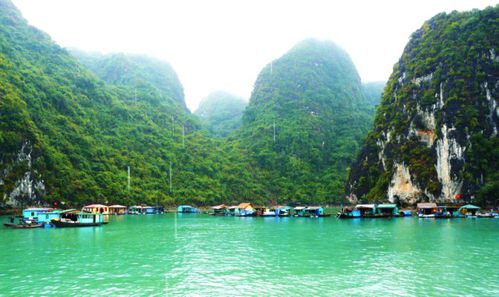 Bahía de Halong-Vietnam