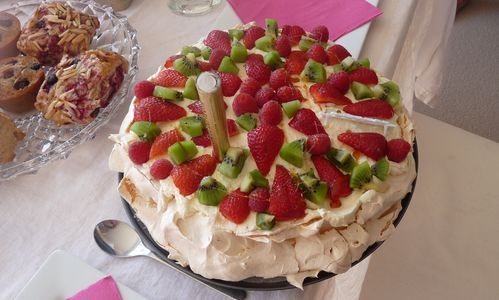 pavlova 2