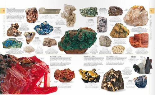 histoirenaturellemineraux.jpg