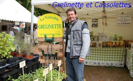 GrelinetteT.jpg