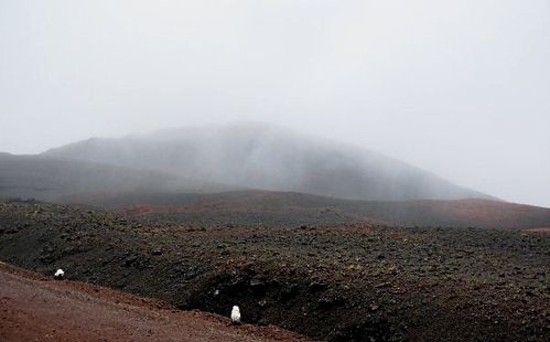 volcan fog2