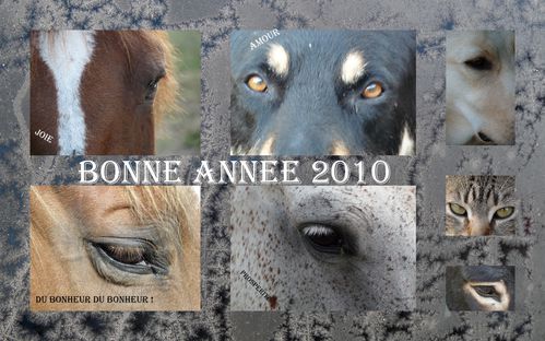 decembre 20092