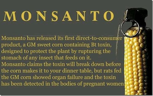 MonsantoBtcorn_thumb.jpg
