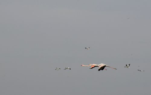 F12_0671.JPG