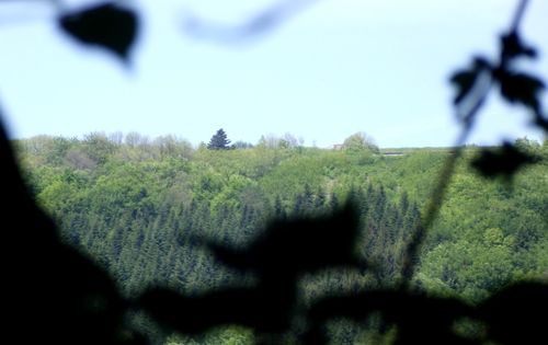 DSCF0447