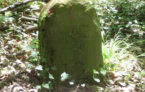 DSCF0460
