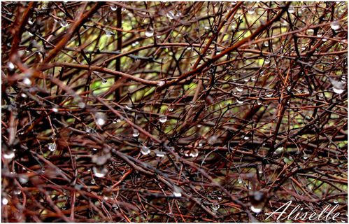 guirlande-de-gouttes-1rect-blog-182.jpg