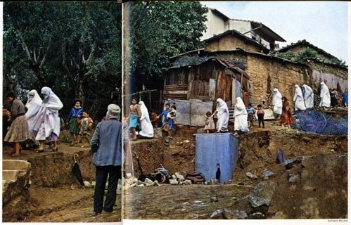 el-milia-photo-ancienne-1950.jpg