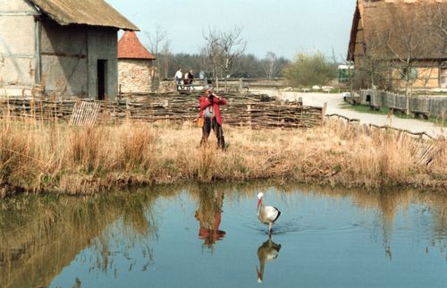 1993-Francis-chez-les-cigognes.jpg
