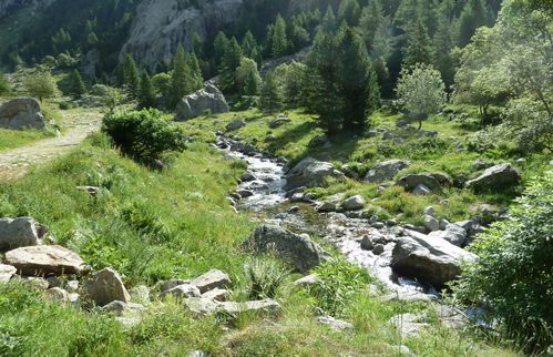 2012-29-06-Lac de la Foux-006