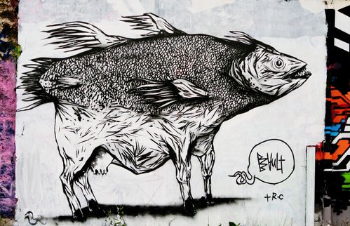 bis-0491.JPG