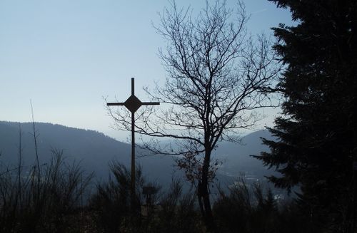 DSCF8777