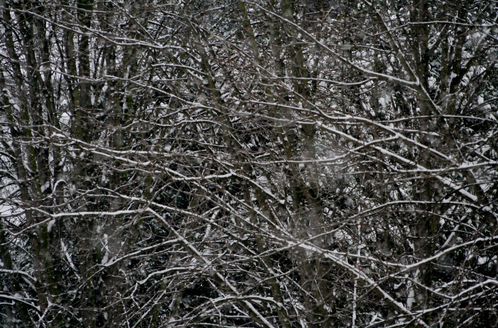 again-1158.JPG