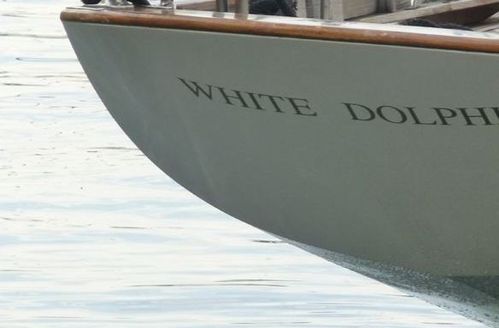 White-Dolphin-panerai-transat-classique.JPG