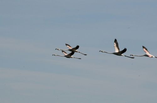 F12_1103.JPG
