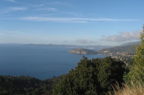 2013-01-31 Les Hauts du Rayol-011