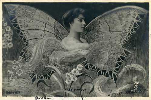 Papillon carte postale