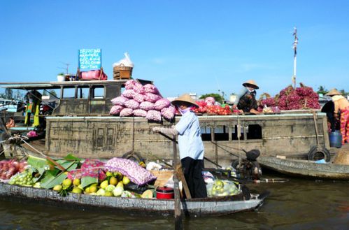 Delta del Río Mekong
