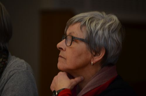 departementales-2015 0448