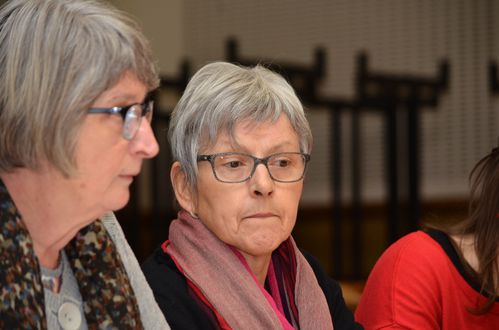departementales-2015 0467
