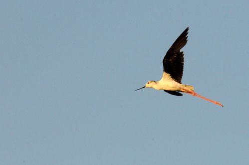 F12_3112.JPG