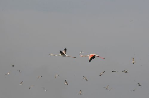 F12_0672.JPG