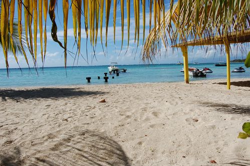 guadeloupe-nov-2011 0253