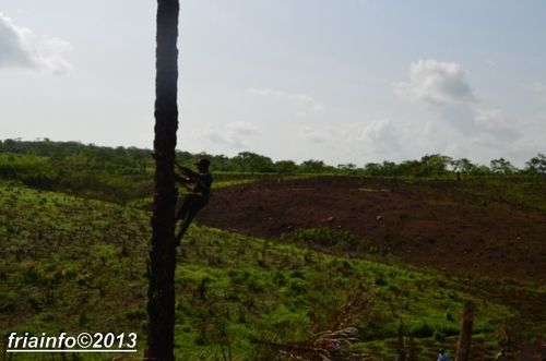 Environnement (2)