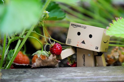 Danbo fraise RED (1 sur 1)