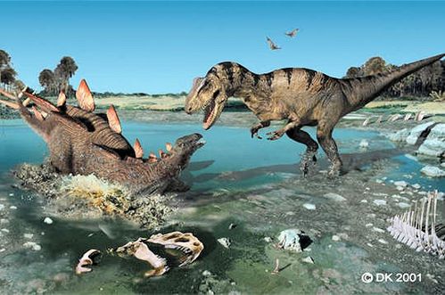 combat-allosaurus-et-stegosaure.jpg