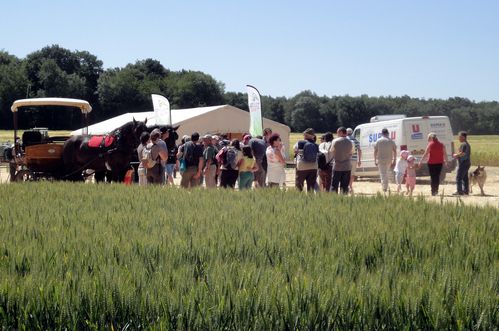 groupe randonneurs