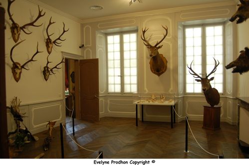 centre d'art 2013