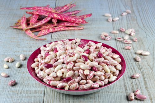 HARICOTS-ROUGES.jpg