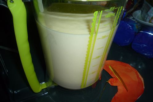 P1060316---Copie.JPG