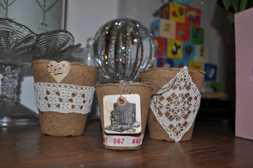 petits pots tourbe 013