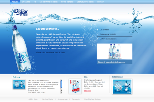 fontaine-didier-site-web-martinique-c-direct.png