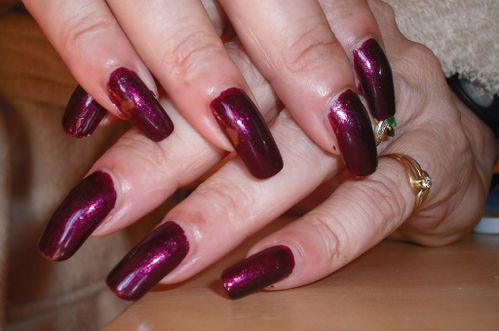 aubergine-2.jpg