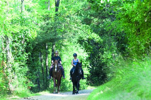 Rando-equestre-Revermont-copyright-Aintourisme_Marc-CHATELA.jpg