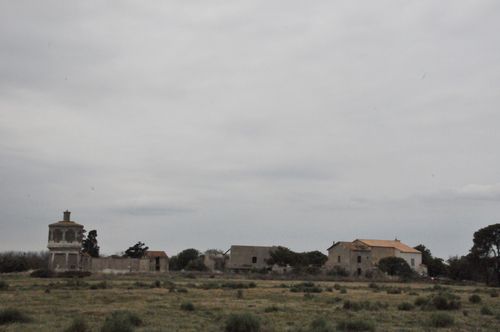 F11_2449.JPG