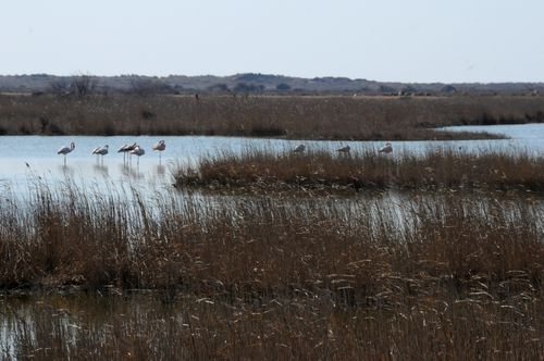 F12_0664.JPG