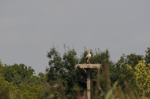 F12_3556.JPG