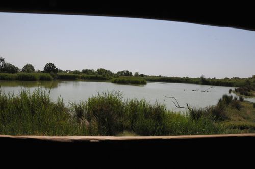 F12_3573.JPG