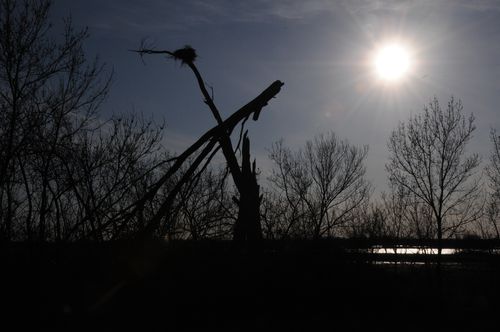 F12_0694.JPG