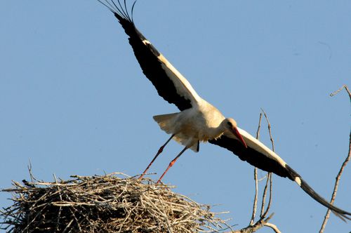 F12_1304.JPG