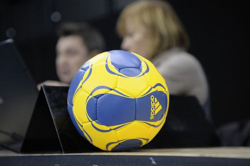 LDC-Chambery-Lowen-Photo-N-8--le-28-fevrier-2010.jpg