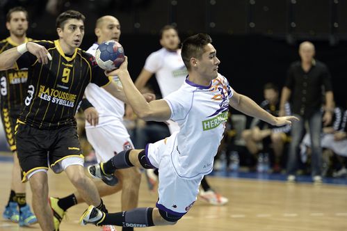 D1-Chambery-Selestat-28-11-2012-Photo-N-6.jpg