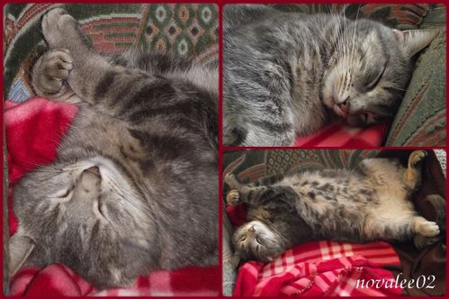 Romeo-24-12.jpg