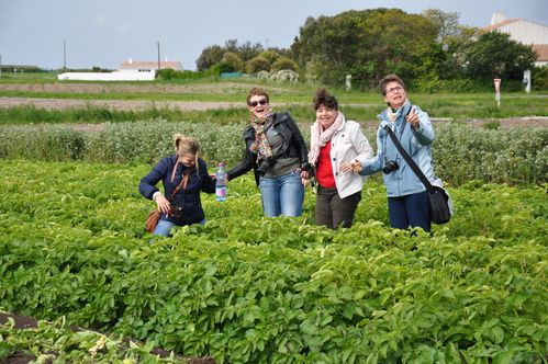 Noirmoutier (151)